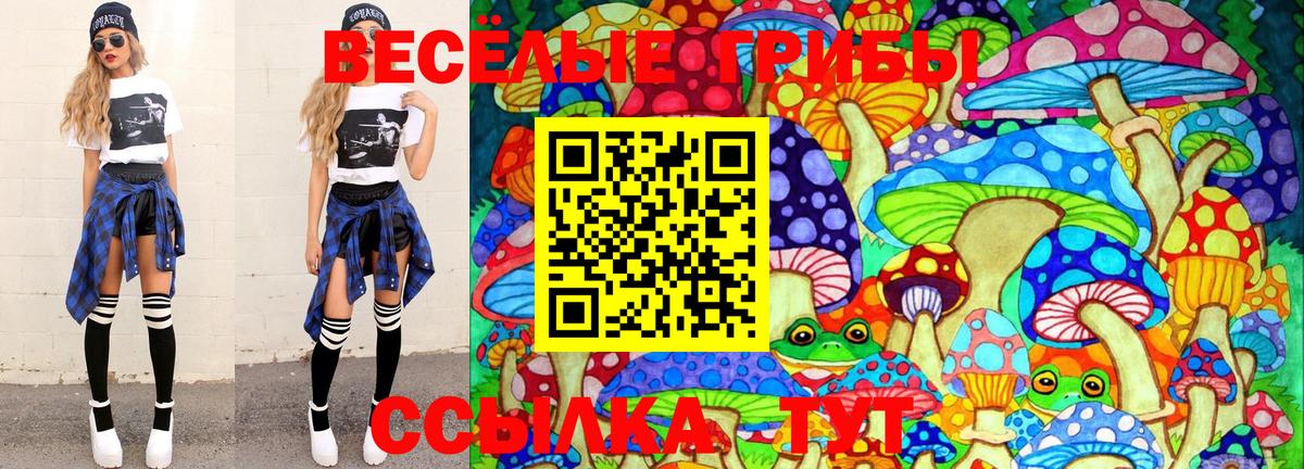 Псилоцибиновые грибы MAGIC MUSHROOMS  Вход с VPN  Вольск 